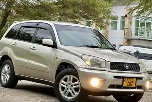 Toyota RAV4 2005 Gold