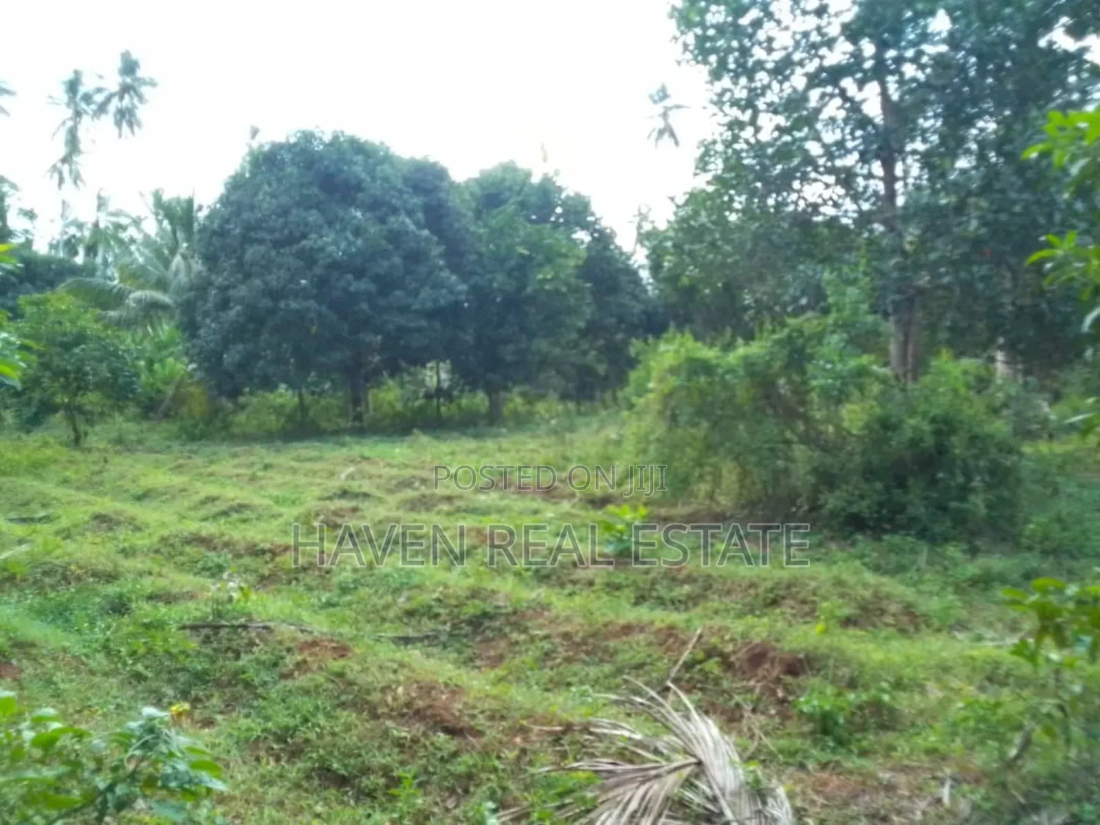 Land Farm for Sale at Zanzibar