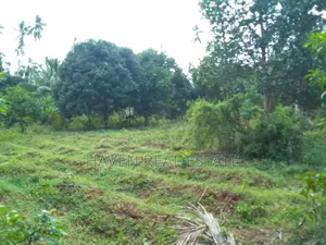 Land Farm for Sale at Zanzibar