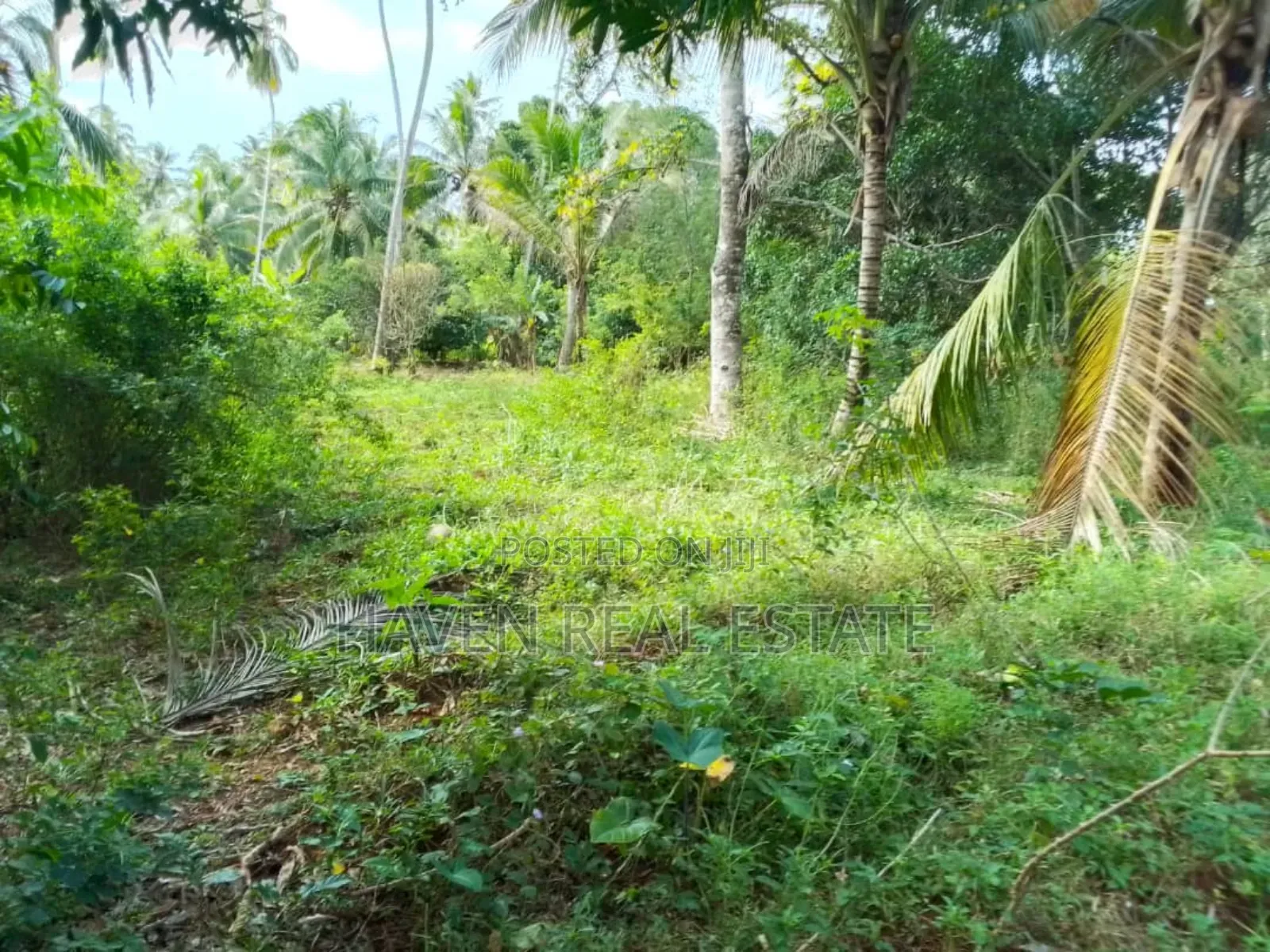 Land Farm for Sale at Zanzibar