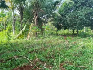 Land Farm for Sale at Zanzibar