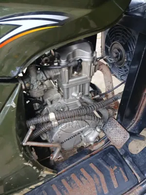 Bajaj Avenger 200 2024 Green