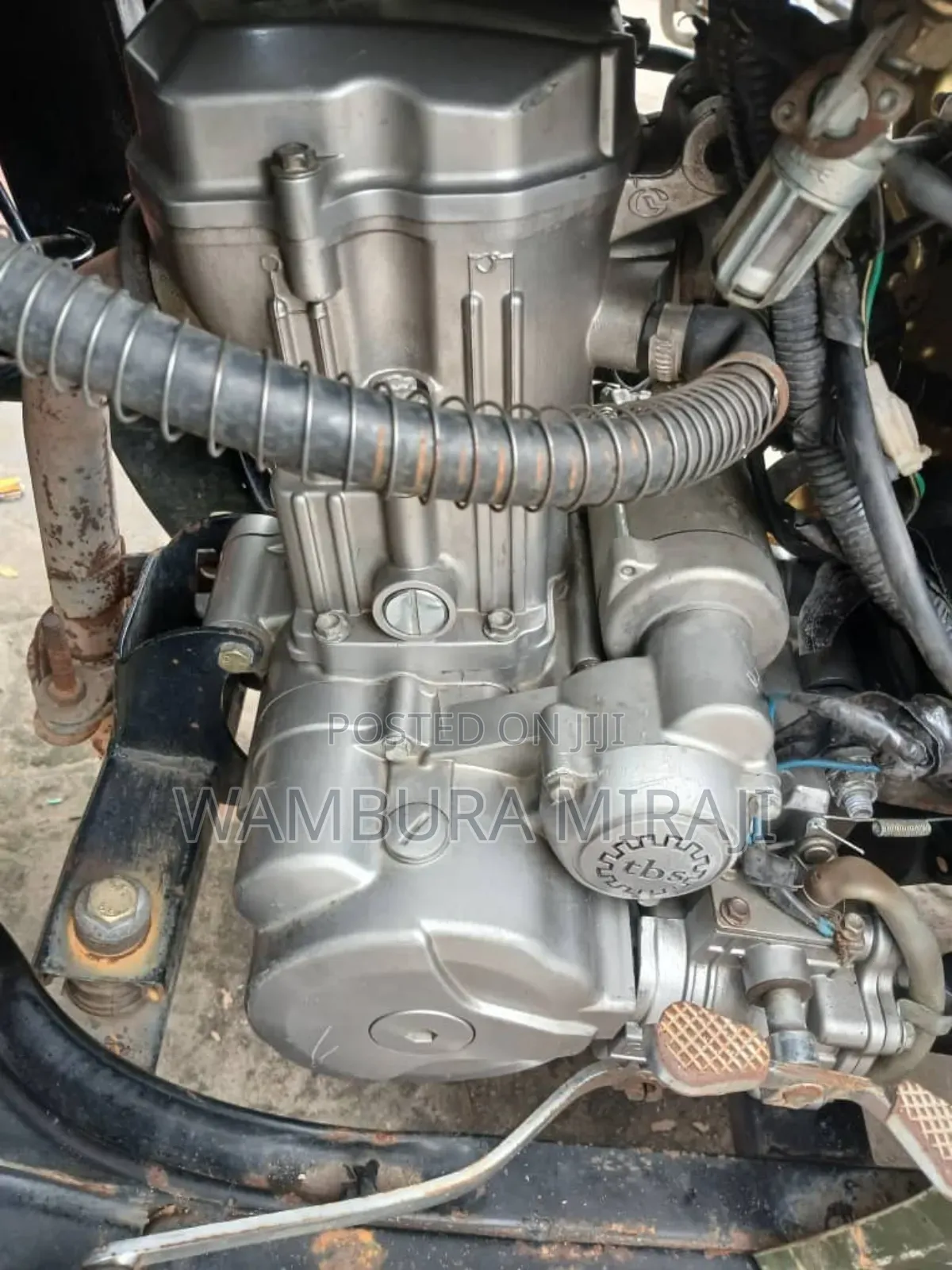 Bajaj Avenger 200 2024 Green
