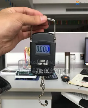 Digital Crane Scales