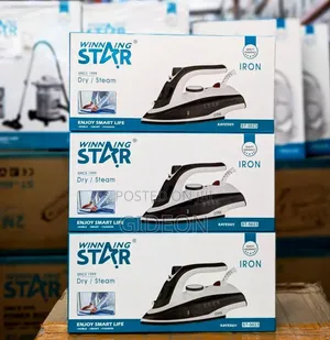 Pasi Ya Matumizi Mazito/ Dry Iron