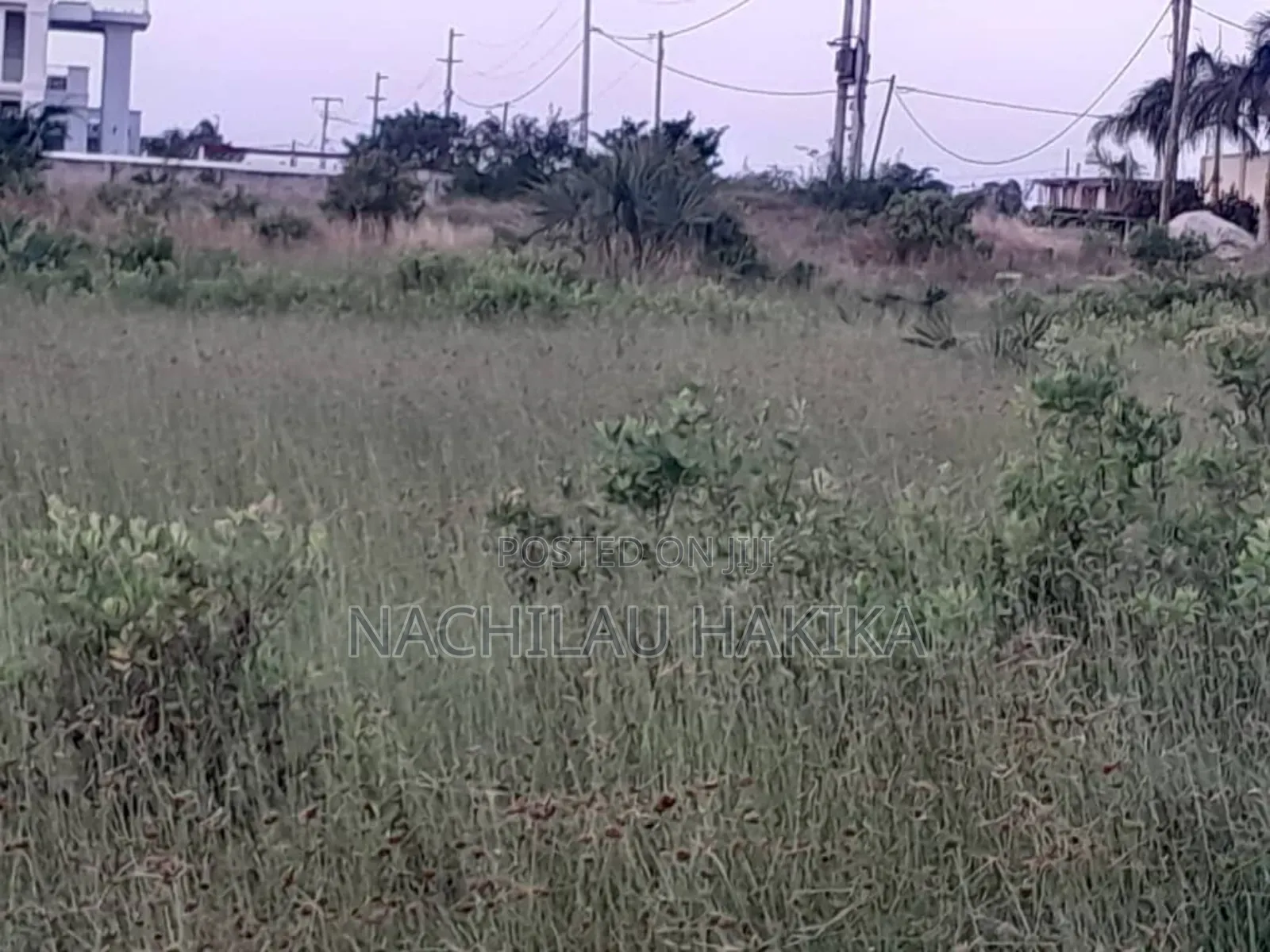 Plot for Sale