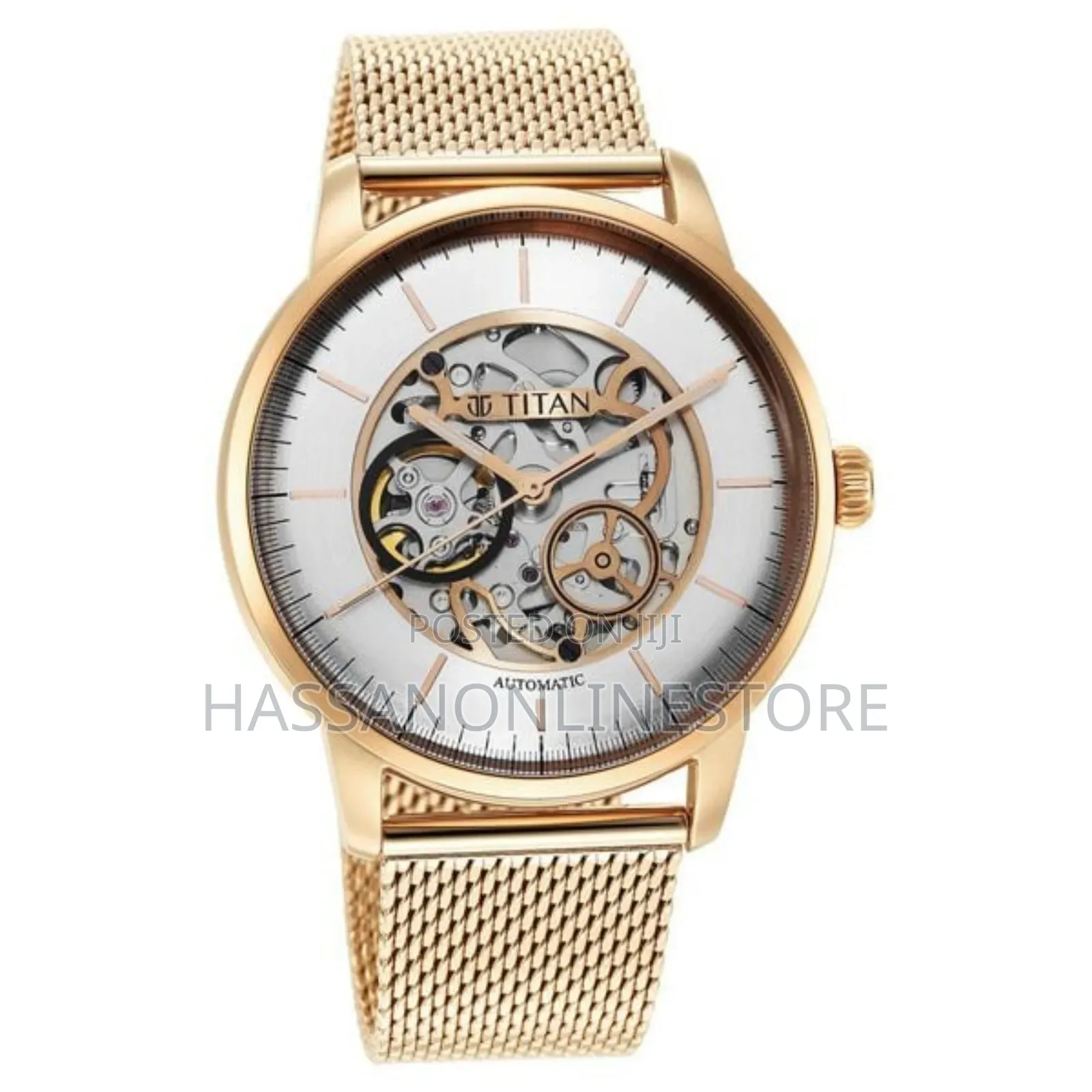 Titan Skeletal Automatic Gold Dial Gold Watch