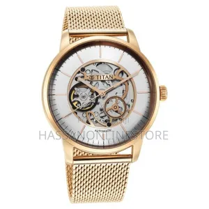 Titan Skeletal Automatic Gold Dial Gold Watch