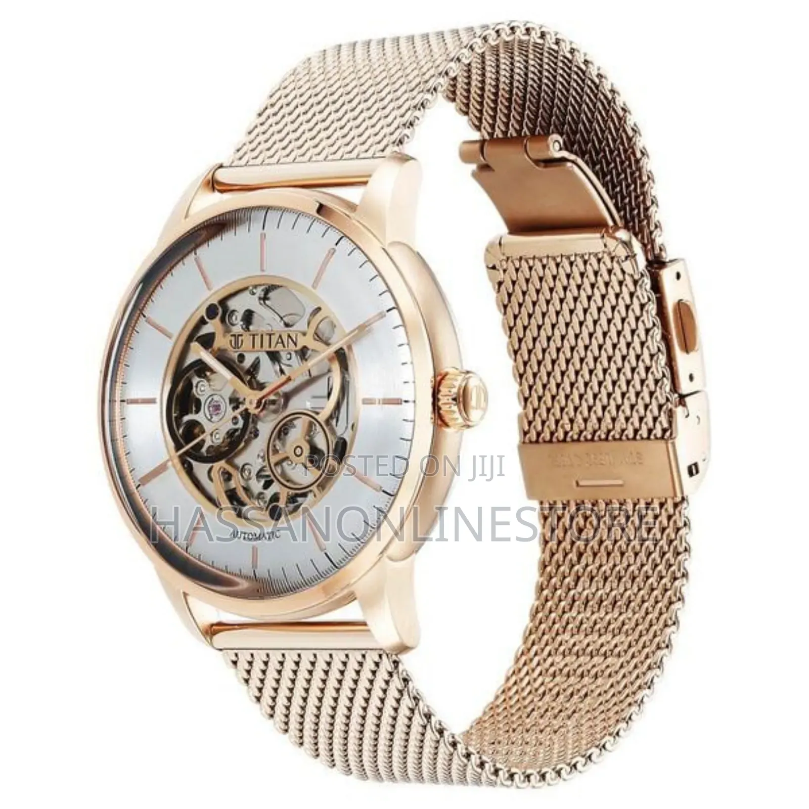 Titan Skeletal Automatic Gold Dial Gold Watch