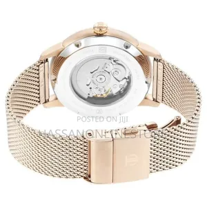 Titan Skeletal Automatic Gold Dial Gold Watch