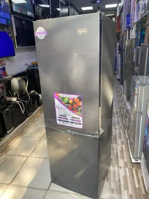 Roch Refrigerator 157l Bottom Freezer (Freezer Chini)