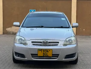 Toyota Allex 2007 Silver