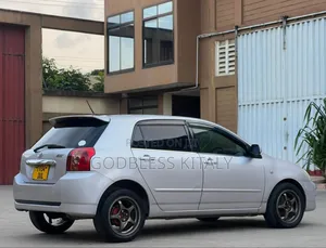 Toyota Allex 2007 Silver