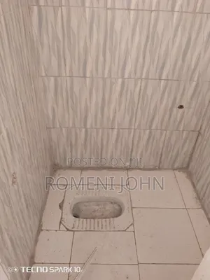 1bdrm Apartment in Tanzania Daresalaam, Ilala for rent