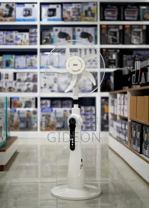 Rechargeable Fan