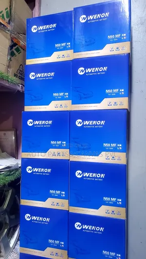 Automotive Battery N50r L