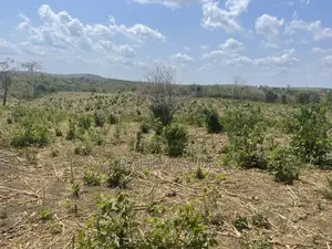 Shamba Linauzwa Kiwangwa Bago Eka 70