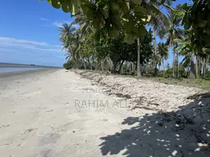 Beach Plort Inauzwa Tanga Eka 16