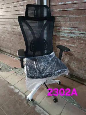 Egronmic Chairs