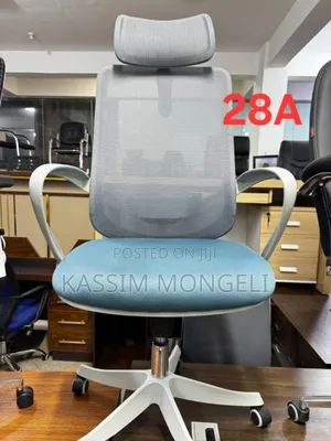 Egronmic Chairs