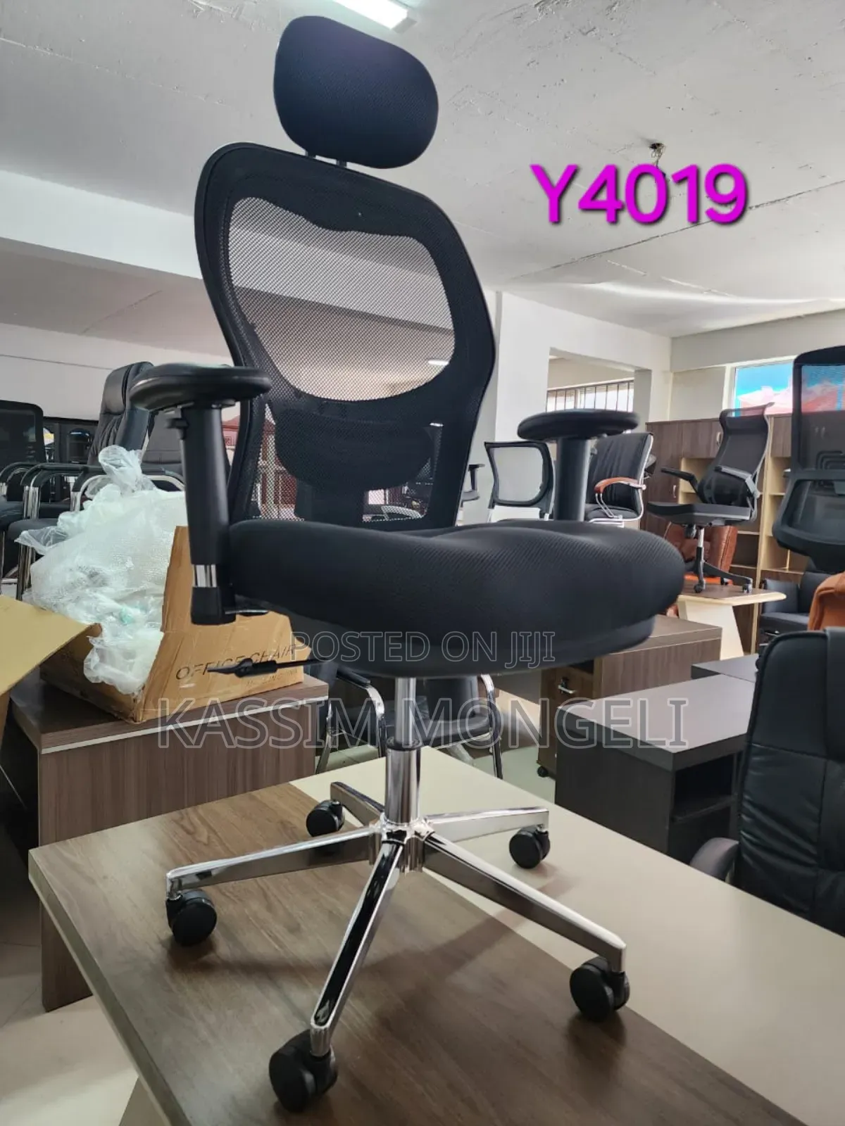 Egronmic Chairs