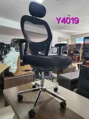 Egronmic Chairs
