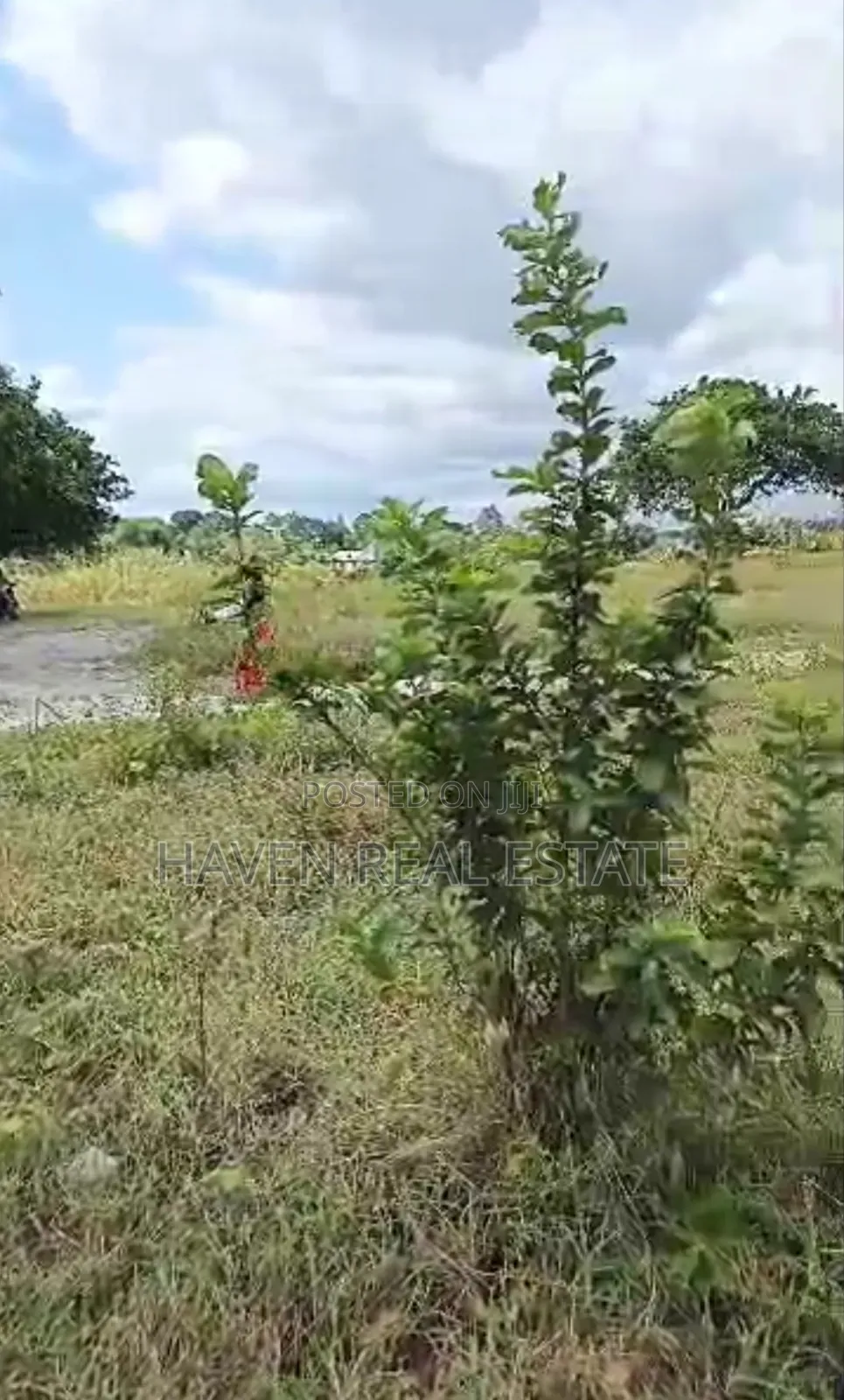 Eneo La Ekari 4 Linauzwa Kibaha Misugusugu