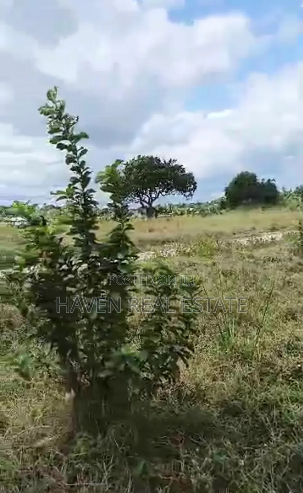 Eneo La Ekari 4 Linauzwa Kibaha Misugusugu