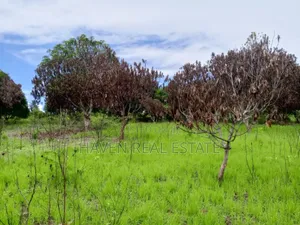 78 Acres Zinauzwa Mkuranga Zinatizama Kilwa Road