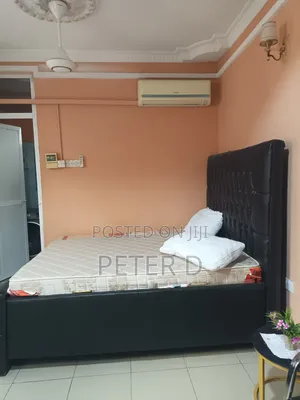 Furnished 3bdrm Apartment in Kariakoo for rent