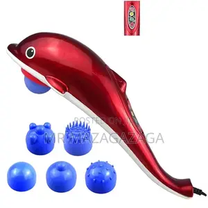Small Dolphin Massage