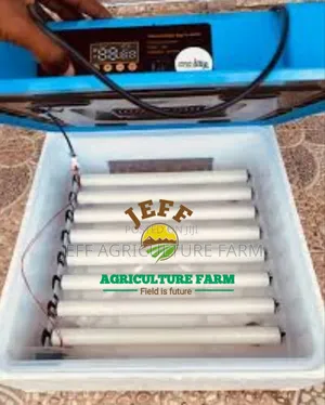 Incubator Mayai 140