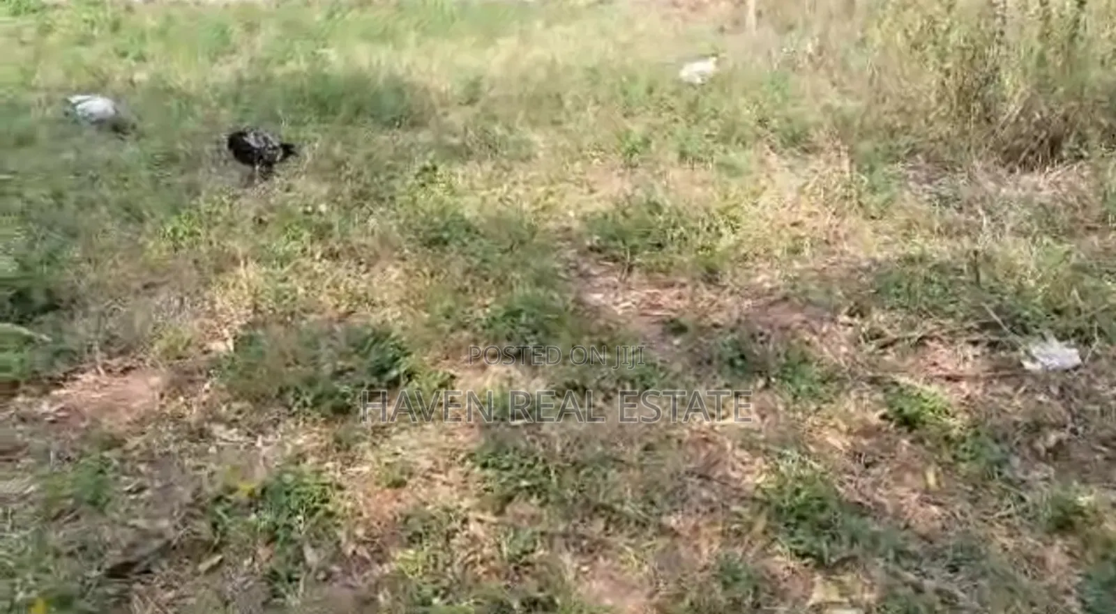 Kiwanja Kinauzwa Kimara
