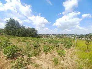 Kiwanja Kinauzwa Bunyokwa Kikubwa, Kizuri Na Bei Nanu