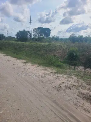 Shamba(Farm) Agriculture Land For Sale Near Siji River Tanga