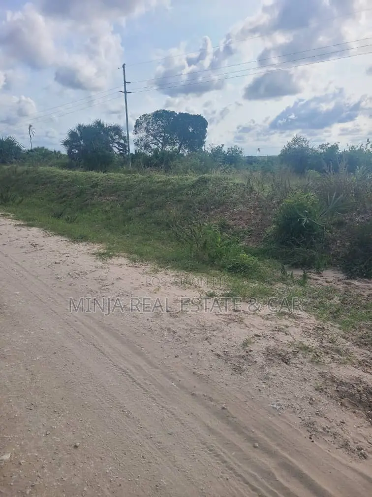 Shamba(Farm) Agriculture Land For Sale Near Siji River Tanga