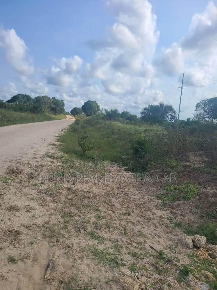 Shamba(Farm) Agriculture Land For Sale Near Siji River Tanga