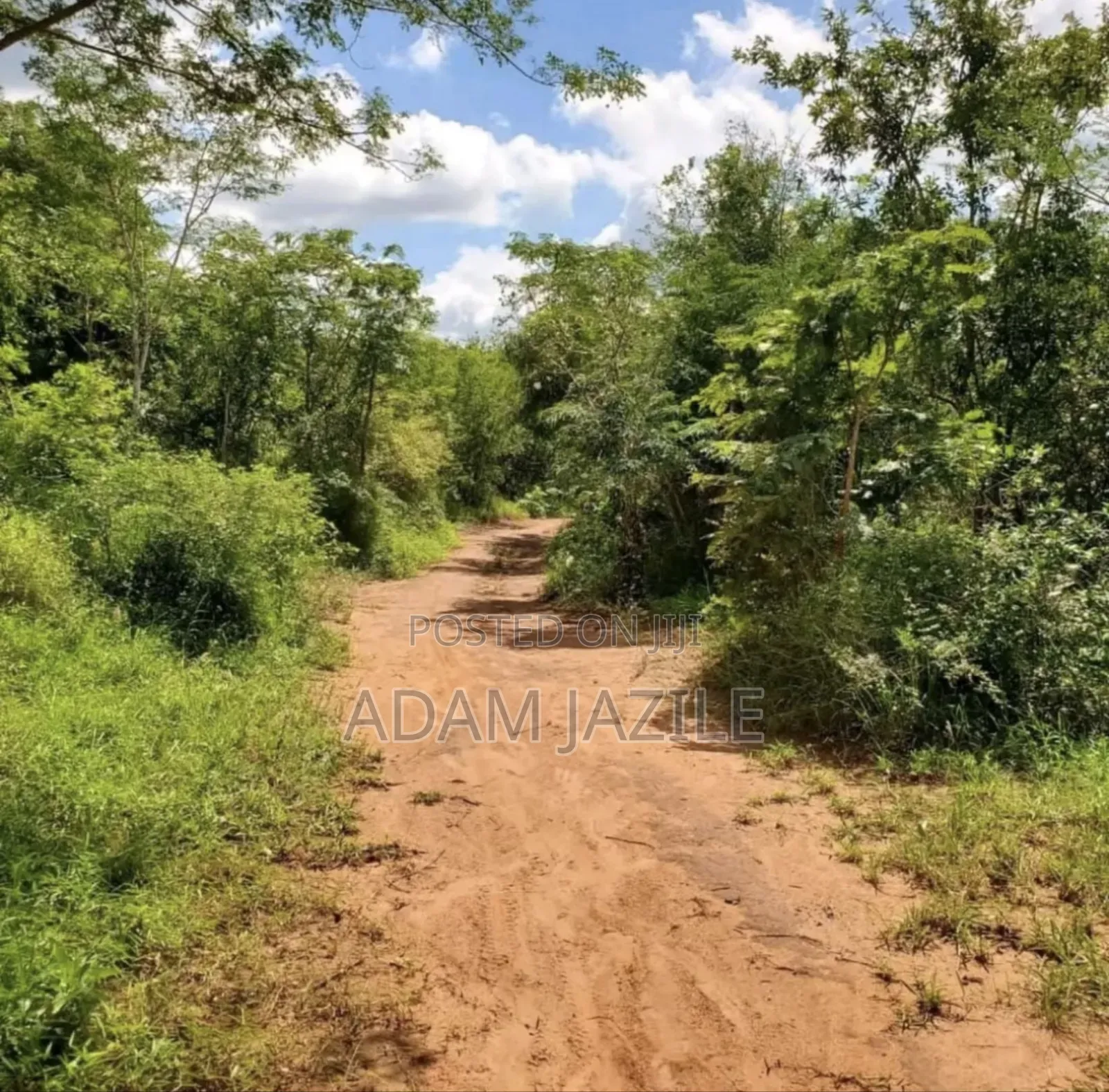 Shamba La Ekari 20 Linauzwa Kwa Ng'andu Mbwewe