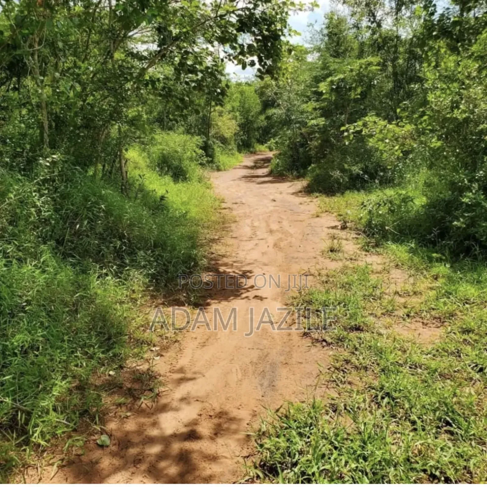 Shamba La Ekari 20 Linauzwa Kwa Ng'andu Mbwewe