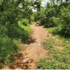 Shamba La Ekari 20 Linauzwa Kwa Ng'andu Mbwewe