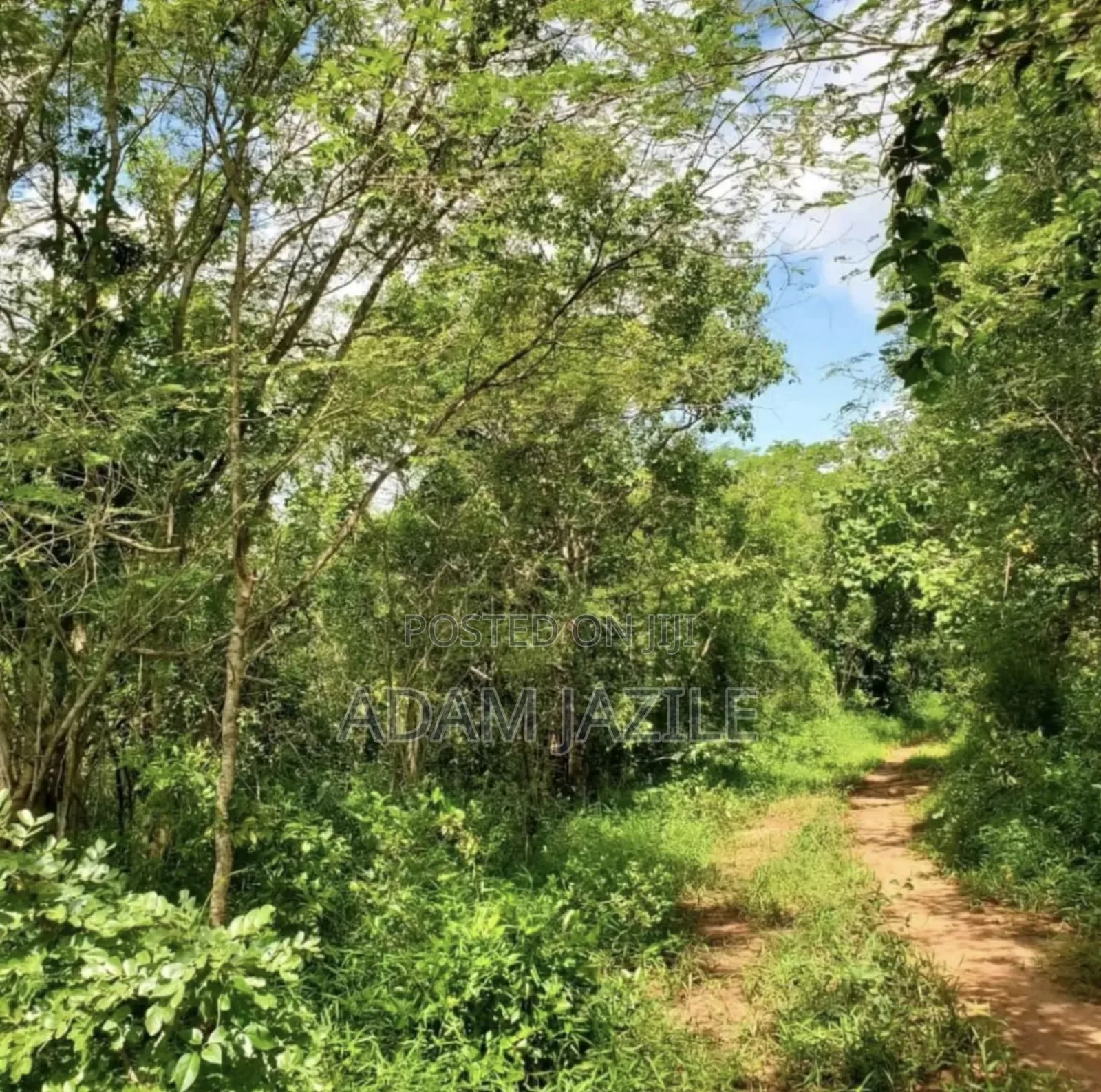 Shamba La Ekari 20 Linauzwa Kwa Ng'andu Mbwewe