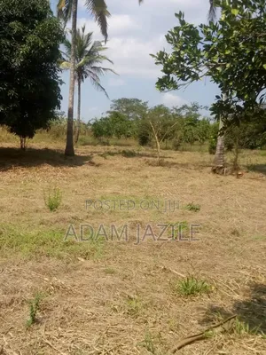 Shamba La Ekari 34 Lenye Mazao Linauzwa Mbwewe Pwani