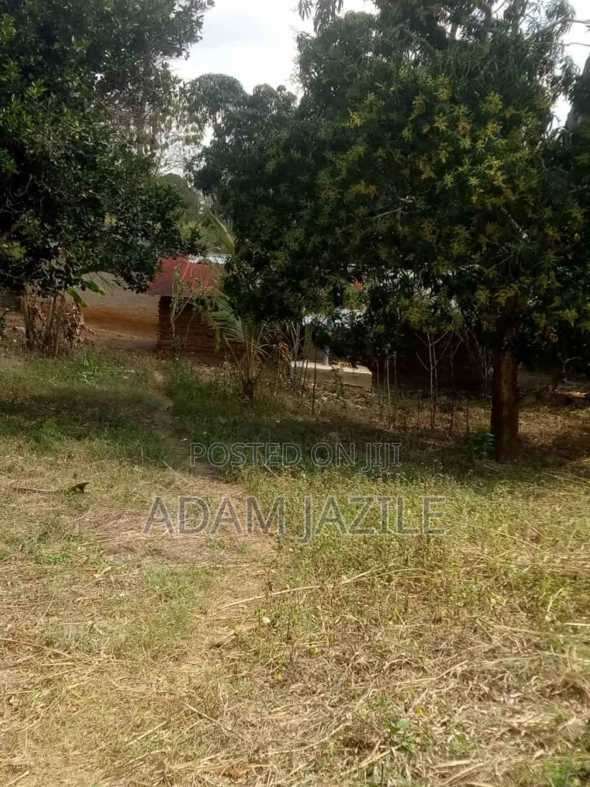 Shamba La Ekari 34 Lenye Mazao Linauzwa Mbwewe Pwani