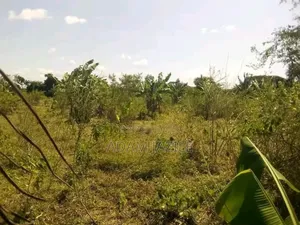 Shamba La Ekari 34 Lenye Mazao Linauzwa Mbwewe Pwani