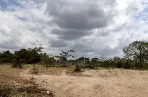 Shamba La Ekari 20 Linauzwa Fukayosi Bagamoyo