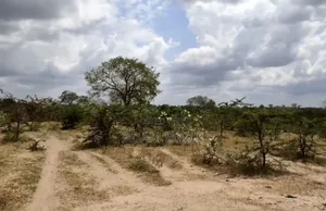 Shamba La Ekari 20 Linauzwa Fukayosi Bagamoyo