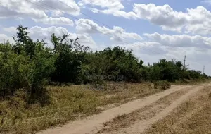 Ekari 4 Za Karibu Ya Barabara Ya Bagamoyo Msata Mita 200