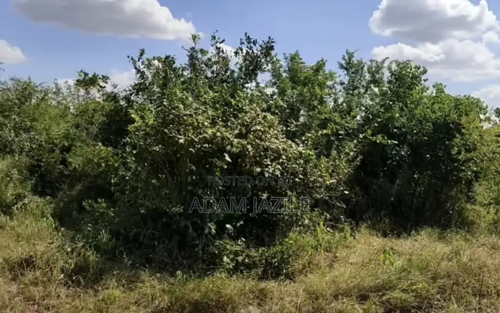 Ekari 4 Za Karibu Ya Barabara Ya Bagamoyo Msata Mita 200