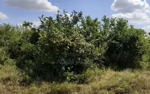 Ekari 4 Za Karibu Ya Barabara Ya Bagamoyo Msata Mita 200