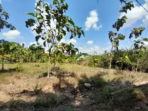 Eneo Linauzwa Kigamboni Mikwambe